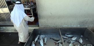 Weather prompts fishing ban that sees market prices rise sharply