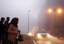 Fog in UAE: Eight tips to drive safely