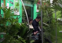 Chinese Metro filled a train with plants in an attempt to go green