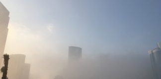 UAE commuters greeted by another blanket of fog
