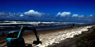 Key $1.4bn UAE highway set for mid-2017 completion