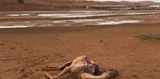 More rain, wind, and dust to hit UAE