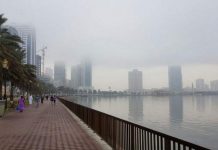 UAE weather: Heavy fog results in low visibility, humidity to touch 95%