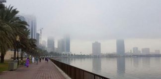 UAE weather: Heavy fog results in low visibility, humidity to touch 95%