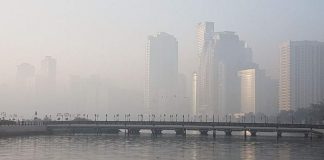 Weather report: It’s going to be a foggy, humid weekend in UAE