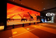 Revealed: ‘Ultimate Fun’ pass launched for Dubai attractions