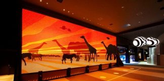 Revealed: ‘Ultimate Fun’ pass launched for Dubai attractions