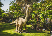 Five must-see attractions in Dubai Garden Glow