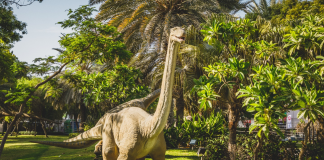 Five must-see attractions in Dubai Garden Glow