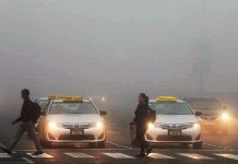Video: Heavy fog covers UAE on third day, low visibility on roads