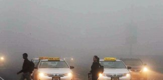 Video: Heavy fog covers UAE on third day, low visibility on roads