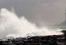 Caution: Strong rush of 45km/h wind to blow over UAE