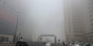 Video: Thick fog blankets UAE, motorists watch out