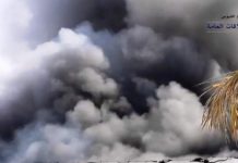 Video: 50 workers evacuated after fire at Umm Al Quwain factory