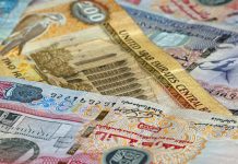 New to Dubai? Here are some fees you should know