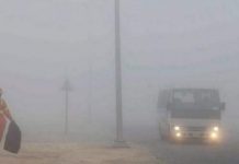 Weather: Fog wraps parts of UAE, visibility less than 500m