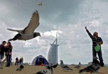 UAE weather: Strong winds, blowing dust to reduce visibility on roads
