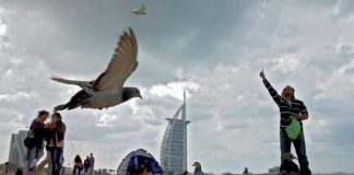 UAE weather: Strong winds, blowing dust to reduce visibility on roads