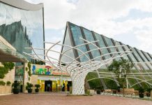 Zipline and bungee jumping at Dubai Safari after summer