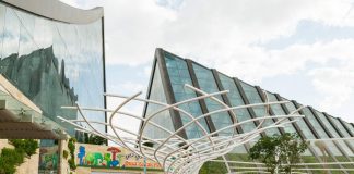 Zipline and bungee jumping at Dubai Safari after summer