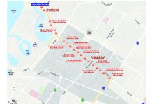 New bus route between Dubai & Sharjah at 30-minute headway time