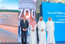 China’s Silk Road Fund to invest in Dubai solar project