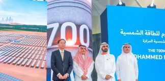 China’s Silk Road Fund to invest in Dubai solar project
