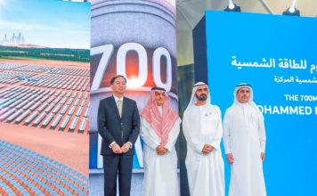 China’s Silk Road Fund to invest in Dubai solar project