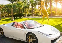 Now, renew your vehicle ‘automatically’ in Dubai Now, renew your vehicle 'automatically' in Dubai