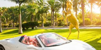 Now, renew your vehicle ‘automatically’ in Dubai Now, renew your vehicle 'automatically' in Dubai