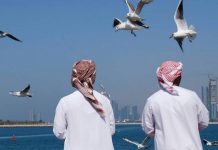 UAE weather: Should you plan a day out this weekend? UAE weather: Should you plan a day out this weekend?