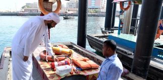 RTA carried out 1,375 marine transport inspections in H1 2019 In H1 2019, 81 offences related to abras were recorded compared to corresponding numbers of 69 in the same period last year.