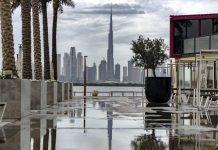 Coronavirus: Dubai launches website to request movement during sterilisation drive
