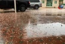 Video: Heavy rain hits UAE on Sunday morning