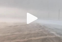 Video: Heavy rain lashes parts of UAE on Wednesday