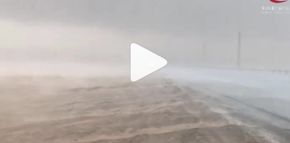 Video: Heavy rain lashes parts of UAE on Wednesday