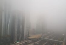 Red alert issued as dense fog blankets Dubai and Abu Dhabi