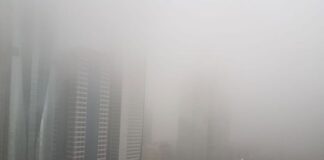 Red alert issued as dense fog blankets Dubai and Abu Dhabi